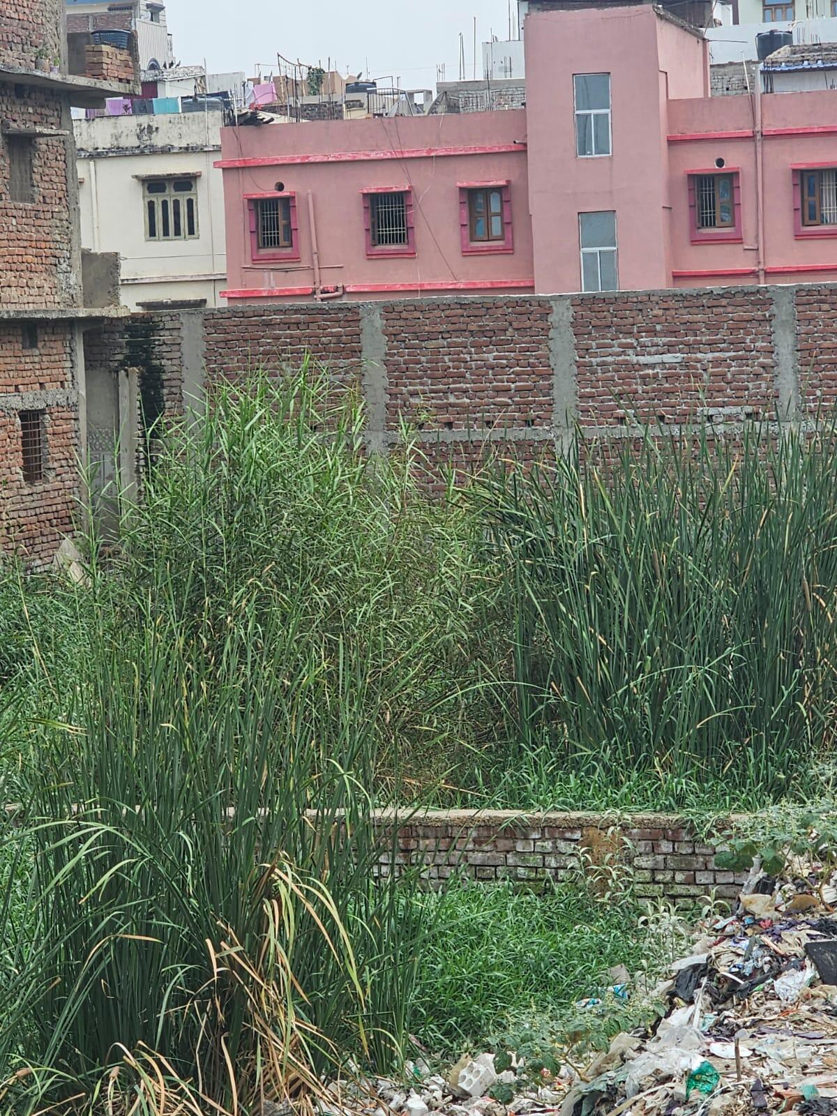 Residential Land in RPS More Patna — RPS More , Patna